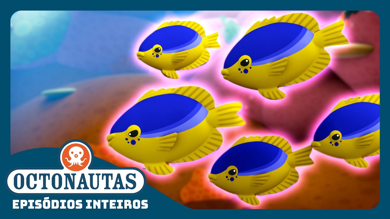 Octonautas - 🪸 O Peixe Donzela 🐠 | Episódio inteiro 7 | Segunda Temporada