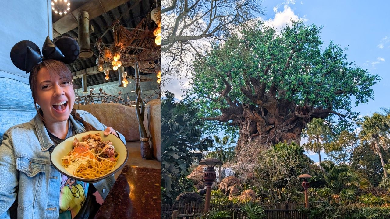 Had a Wild Time at Animal Kingdom! Current State of the Park! Rides and More!