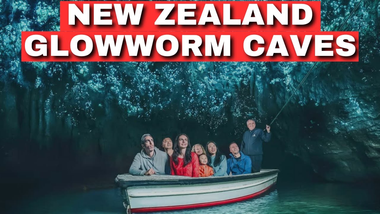 Visiting New Zealand’s Glowworm Caves – A Natural Wonder! - Travel Video