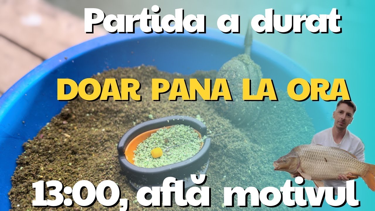 Pescuit la feedeer pe Milotina 1