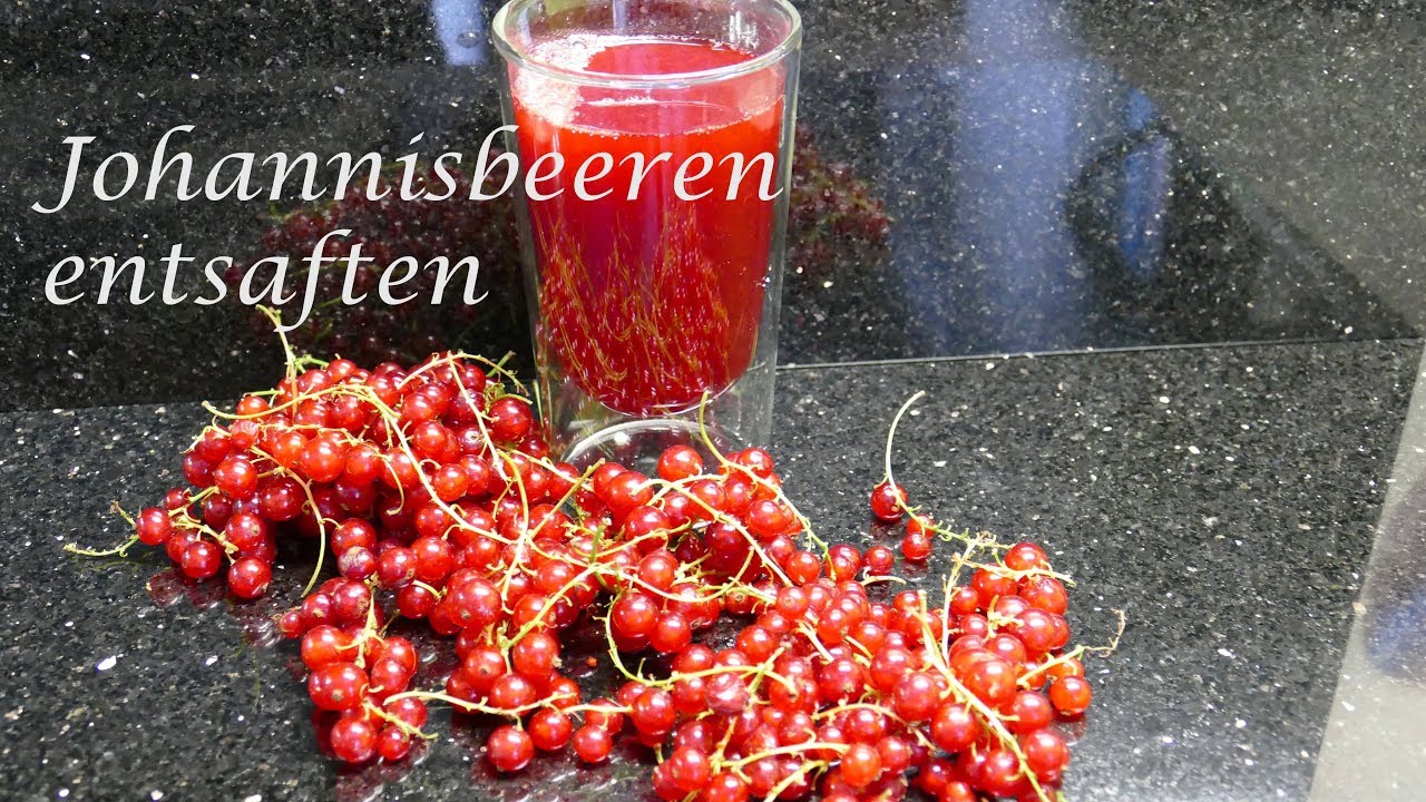 Thermomix®TM5 Johannisbeeren entsaften