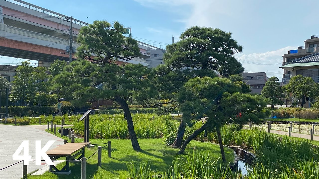 #19 Walk around Horikiri-Shobuen Tokyo Japan 4K