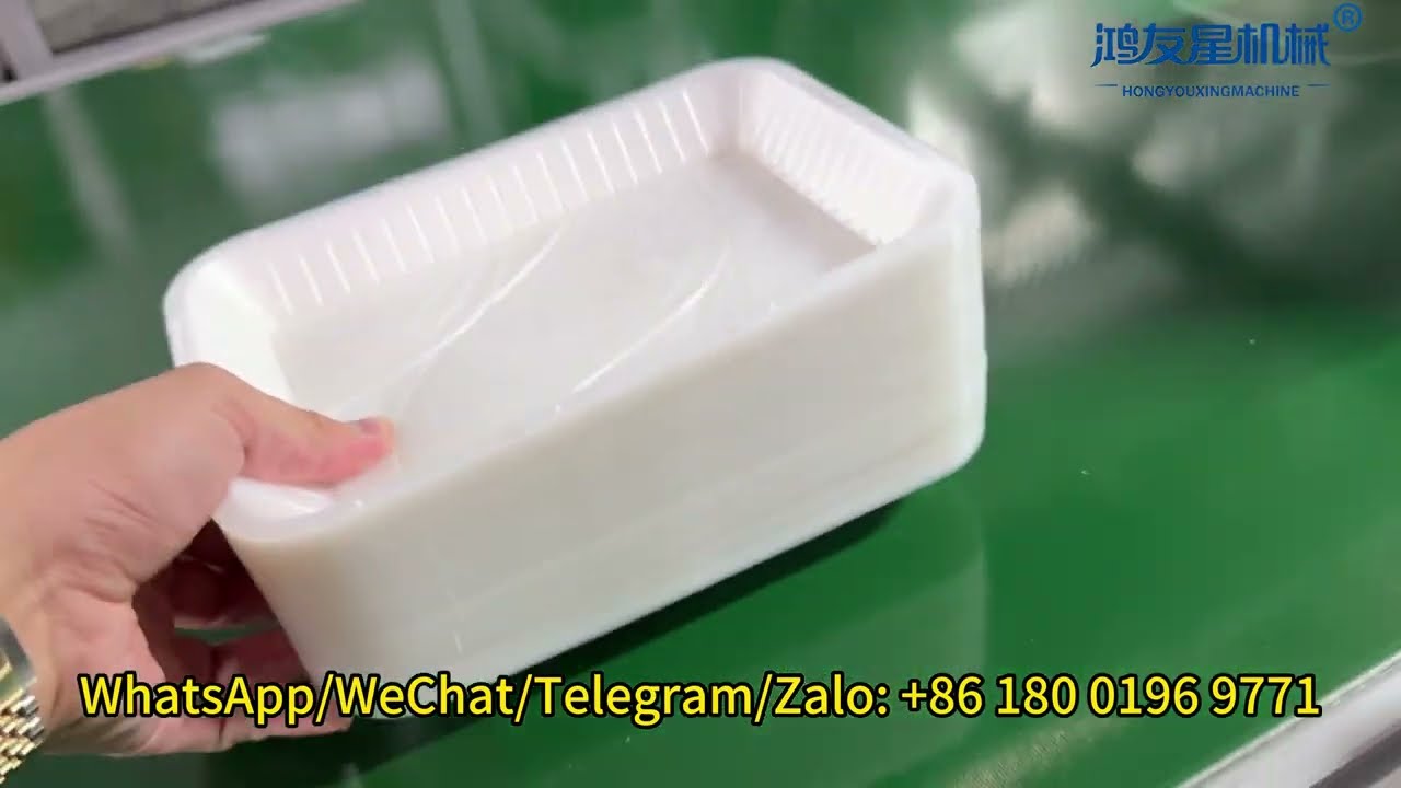 Fully Automatic Thermoforming Machine Mass Producing 9-Cavity PP Food Trays for Saudi Arabia Market
