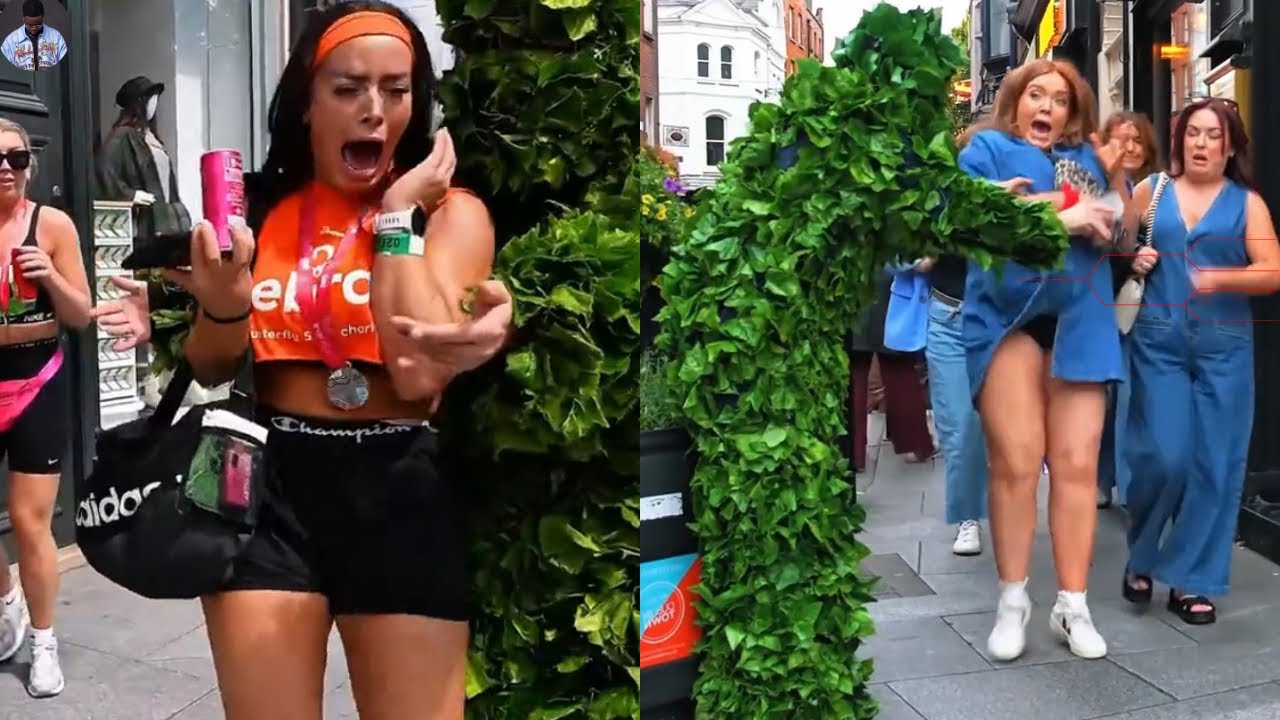 BEST FUNNY BUSHMAN PRANKS OF THE YEAR  || TRY NOT TO LAUGH CHALLENGE. 