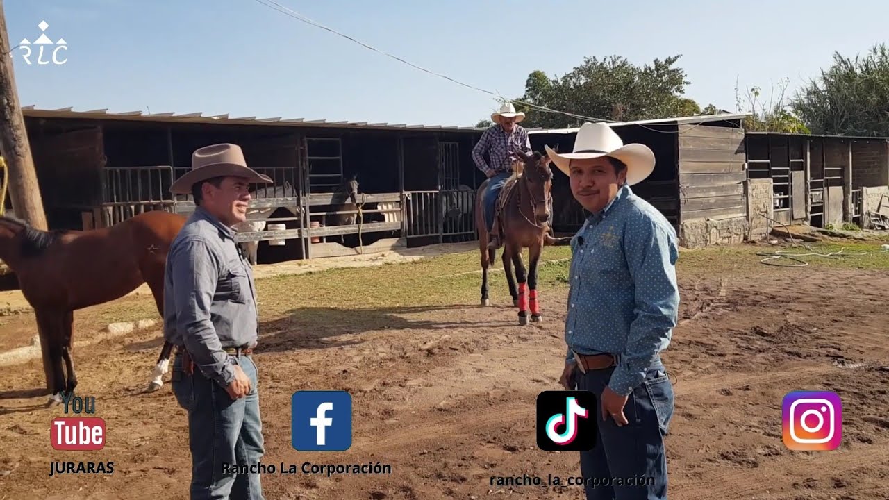 David Alonso visita a Rancho La Corporación para platicar con Juan Ramos - Parte 1