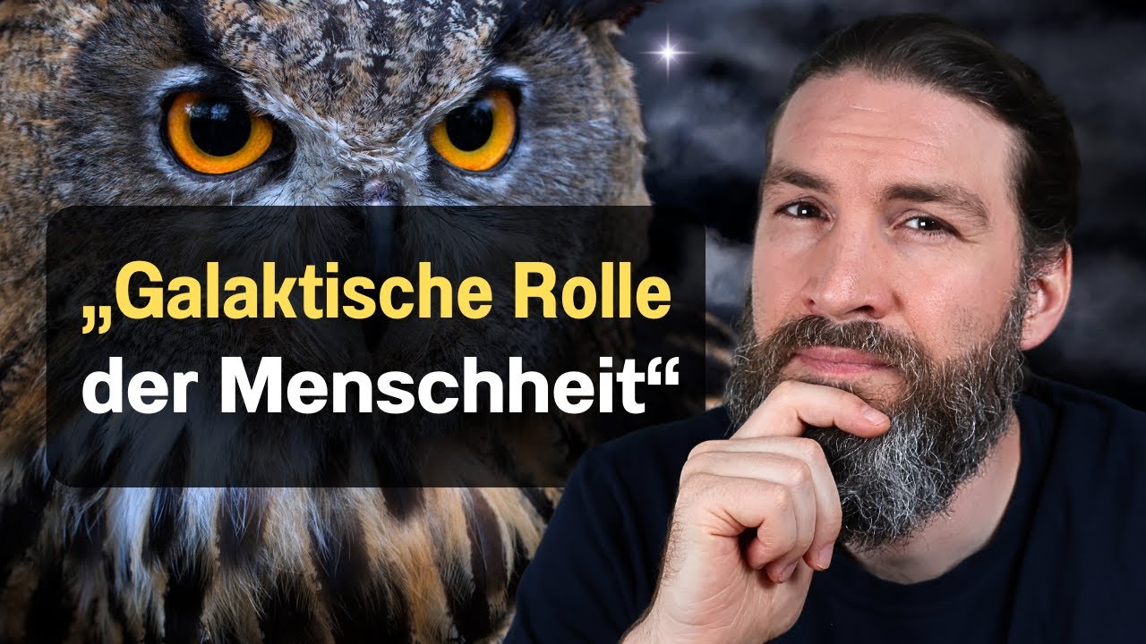 Krafttier Eule: Aktuelle Botschaft und Weisheit (überraschend)