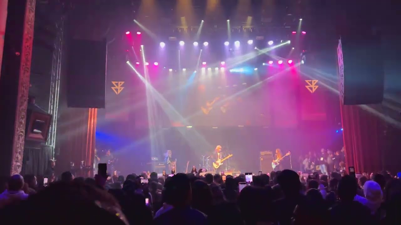 4-acoustic dual 10 line array audio sample