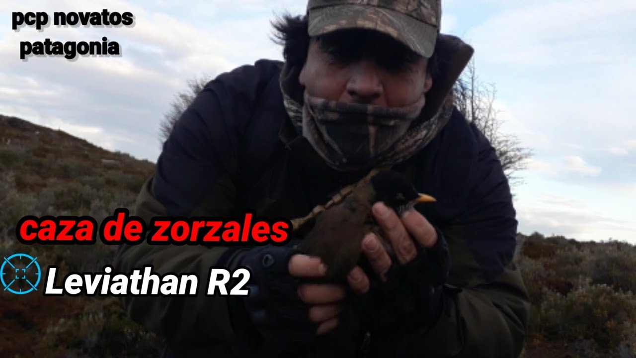 caza PCP de zorzales💥 con  leviathan R2, thrush hunting 2022