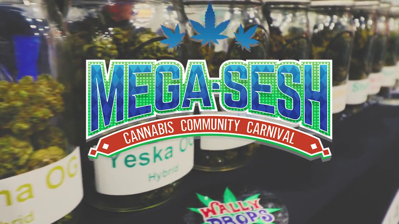 Mega Sesh 2017