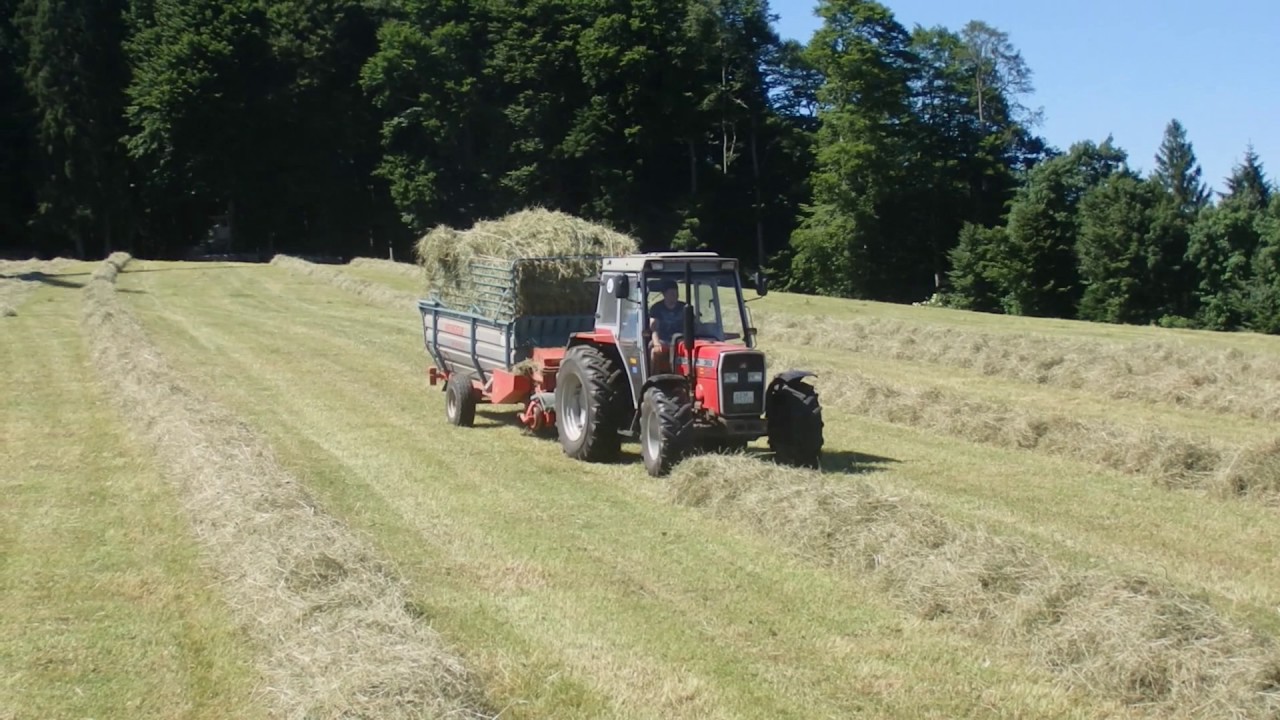Massey Ferguson 362 und 135