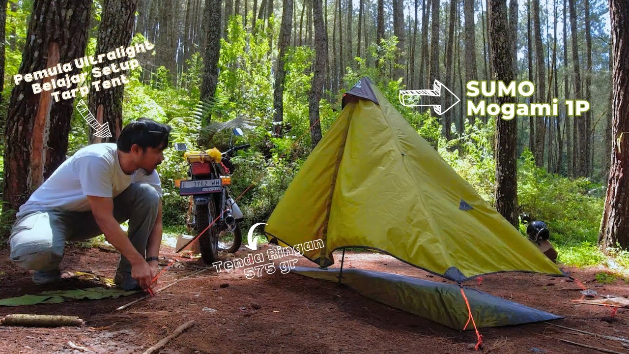 Pemula Ultralight Belajar Setup Tarp Tent Sumo Mogami 1P | Susah-Susah Gampang Setupnya.