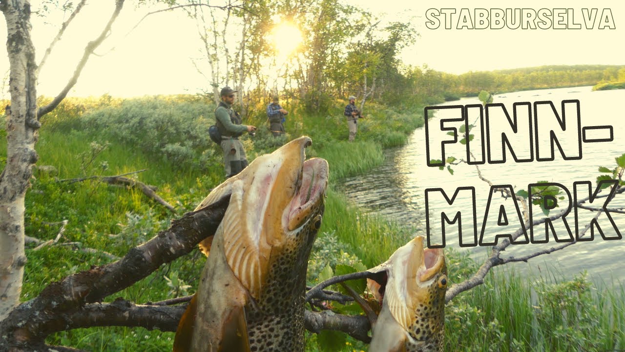 Unelmien taimenjoki | Sähköpyörillä erämaahan | E-bike hiking and fishing | Stabburselva Finnmark