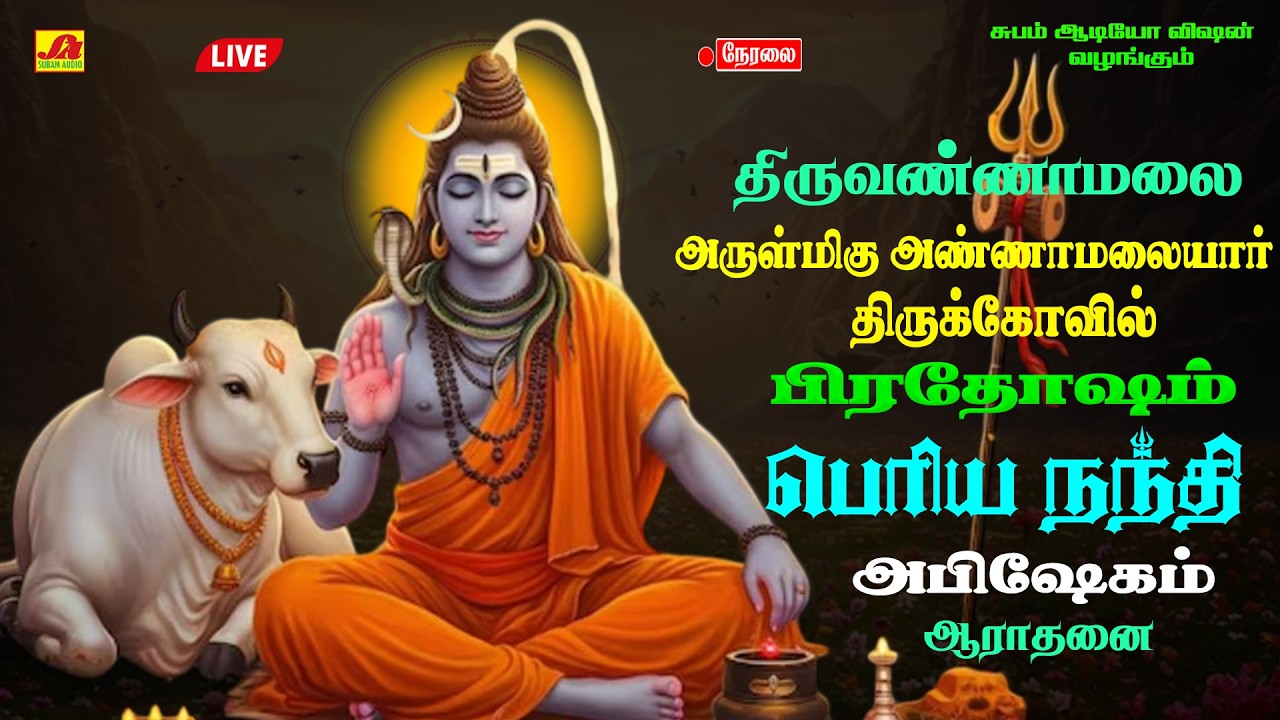 🔴LIVE அருள் தரும்  பிரதோஷம்  திருவண்ணாமலை பெரிய நந்தி பிரதோஷவழிபாடு #நேரலை #pradhoshamlive