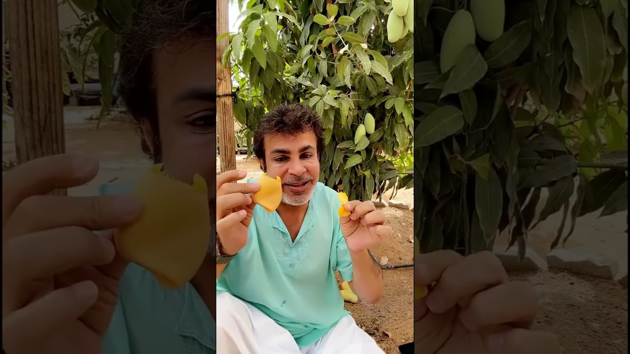 #خالد_الخالدي  يوميات #زراعة و معلومات | سوالف و ضحك مع هدى وعبدالرحمن و صلاح  30-05-2023