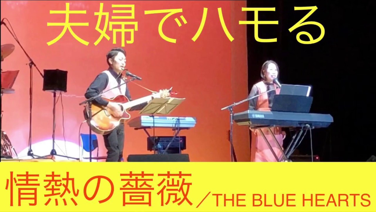 夫婦でハモる「情熱の薔薇」THE BLUE HEARTS（カバー6/8アレンジ）／さんじのおやッつ