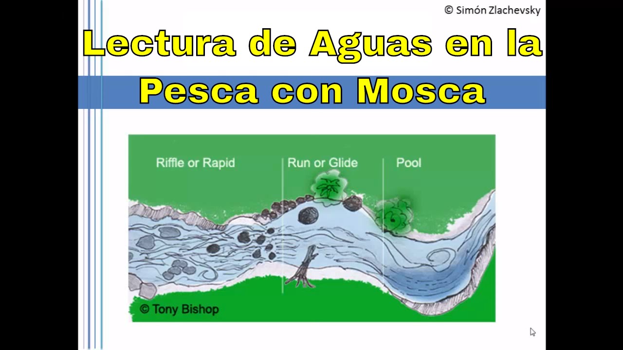 Lectura de Aguas en la Pesca con Mosca