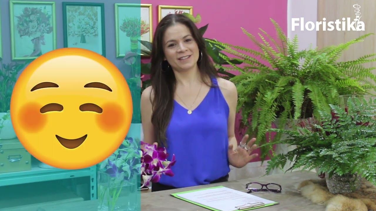 Captíulo 2 emprende tu florería, la idea #elifloristika #floristika www.floristikacursos.com