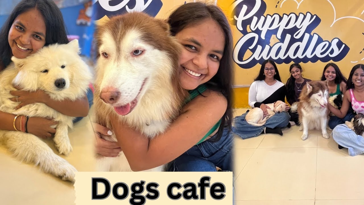 |Explore puppy cuddles with us |mumbai’s first dogs cafe 🐶🐾||@Vlogsanjaliyadav