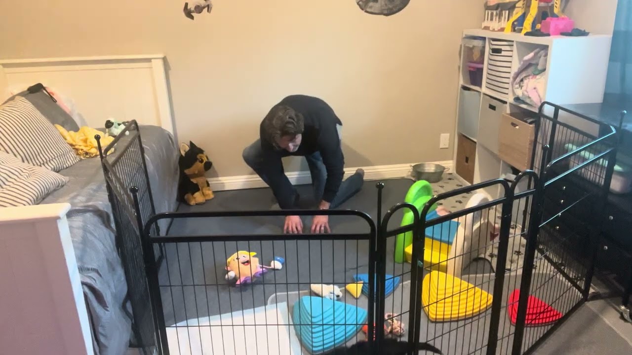 Copper Temperament Test