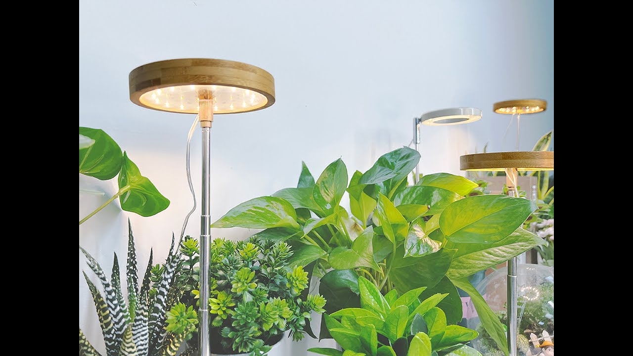 halo grow light