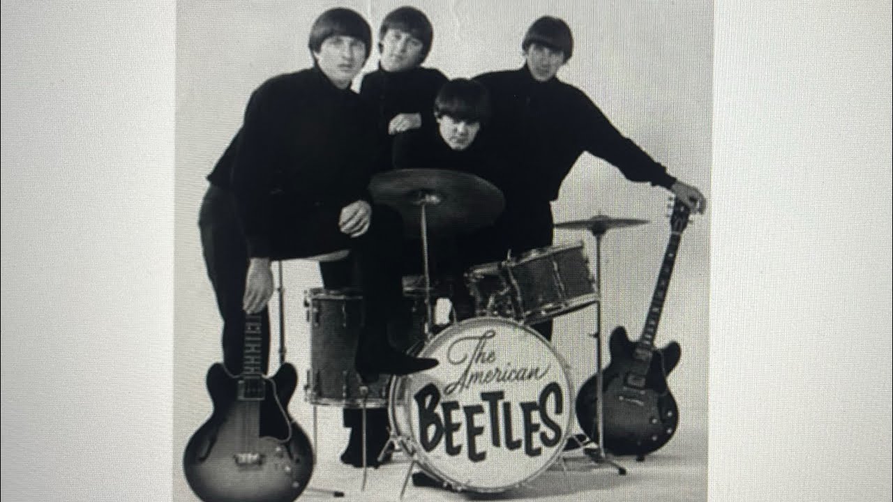 The American Beetles I Wish You Everything / Say You Do 