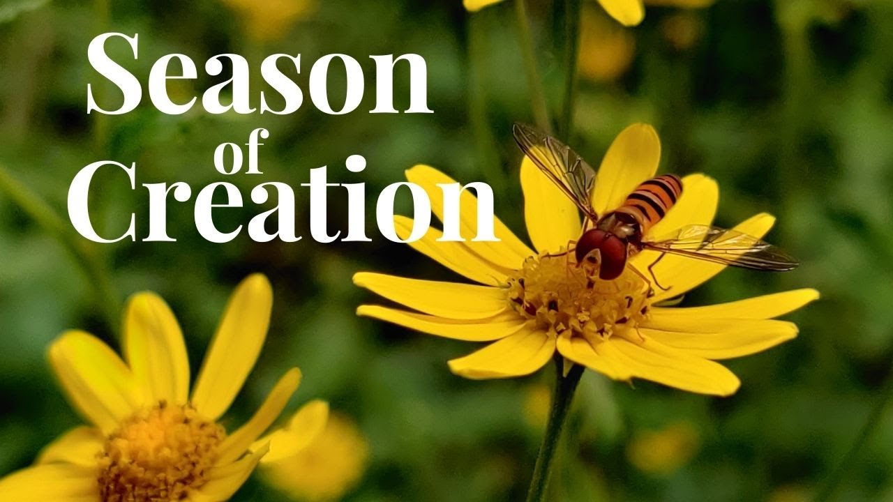 Season of creation