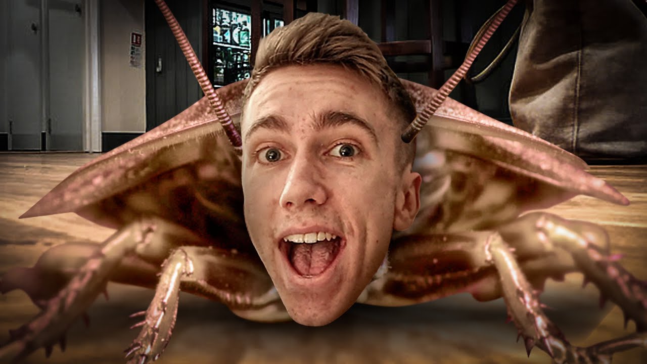 COCKROACH SIMULATOR???