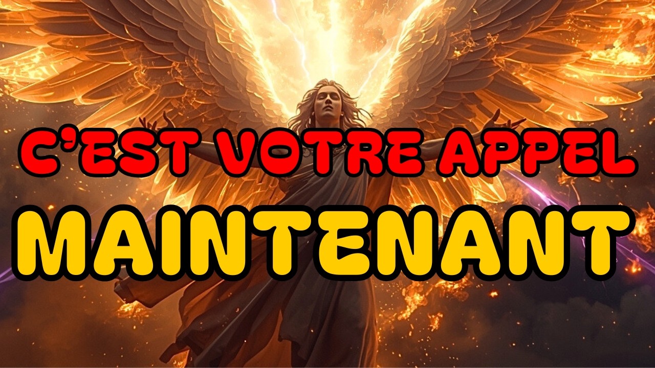 Élus : ✨Dieu dit que ceci est votre seule mission à partir de maintenant