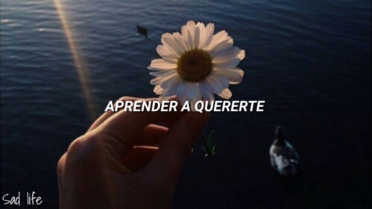 Aprender a quererte/Morat (LETRA)