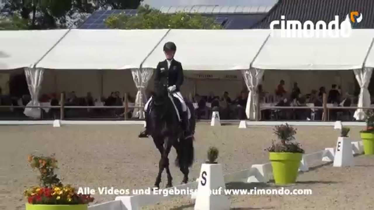 Dark Rose de Fangar & Helen Langehanenberg siegen in BuCha-Quali