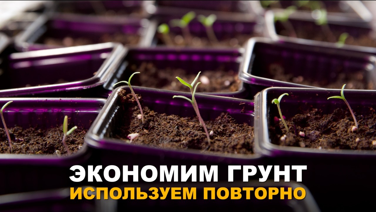 ЭКОНОМНО И ЭФФЕКТИВНО, ВТОРАЯ ЖИЗНЬ ГРУНТА ПОСЛЕ РАССАДЫ. Обновление грунта после рассады и цветов.