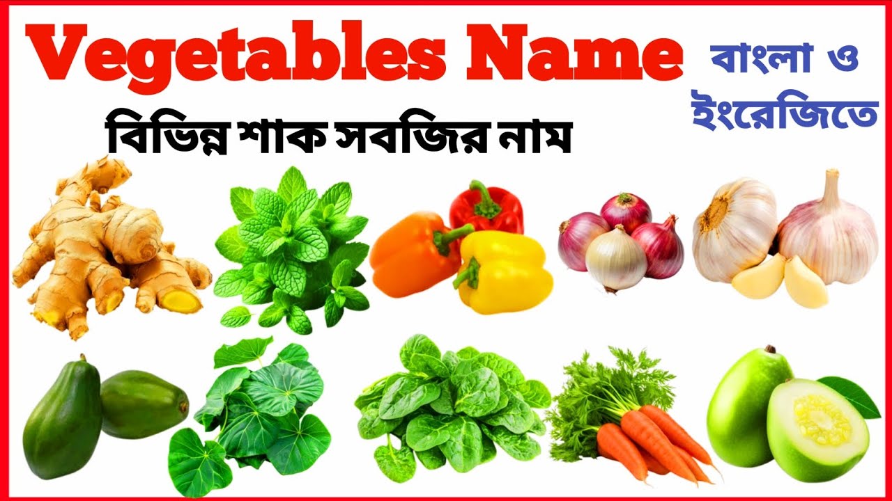 Vegetables Name | বিভিন্ন শাক সবজির নাম |20 Vegetables Name | Learning Vegetables Names in English.