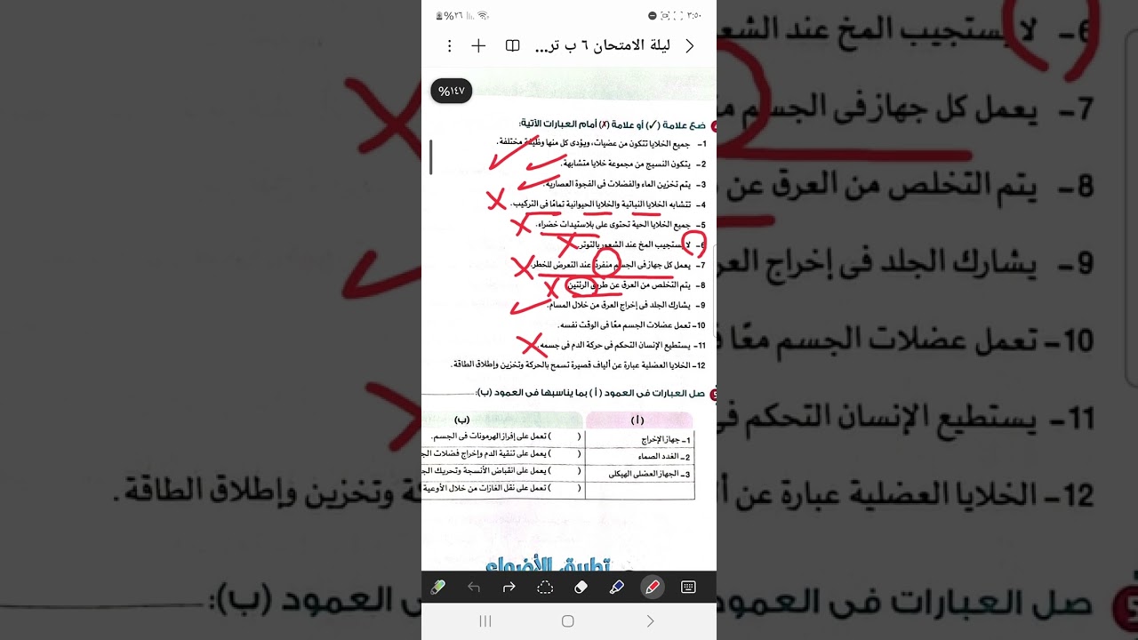 مراجعة ليلة الامتحان علوم ٦ إبتدائي 🗯 الأضواء 💫 التقيمات المدرسية ✨️ والاختبارات 💥 نماذج شهرية 🕊 ١