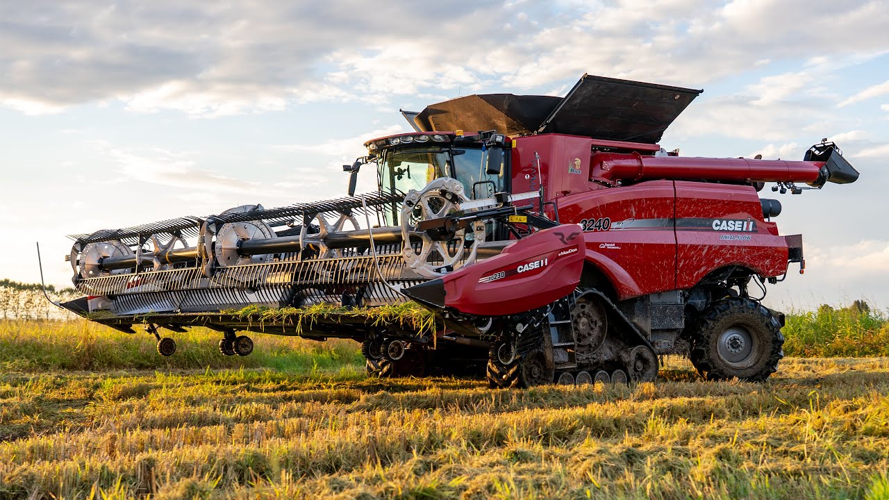 🌾Cab View Case IH Axial Flow 8240 – Hard Rice Harvest 2025