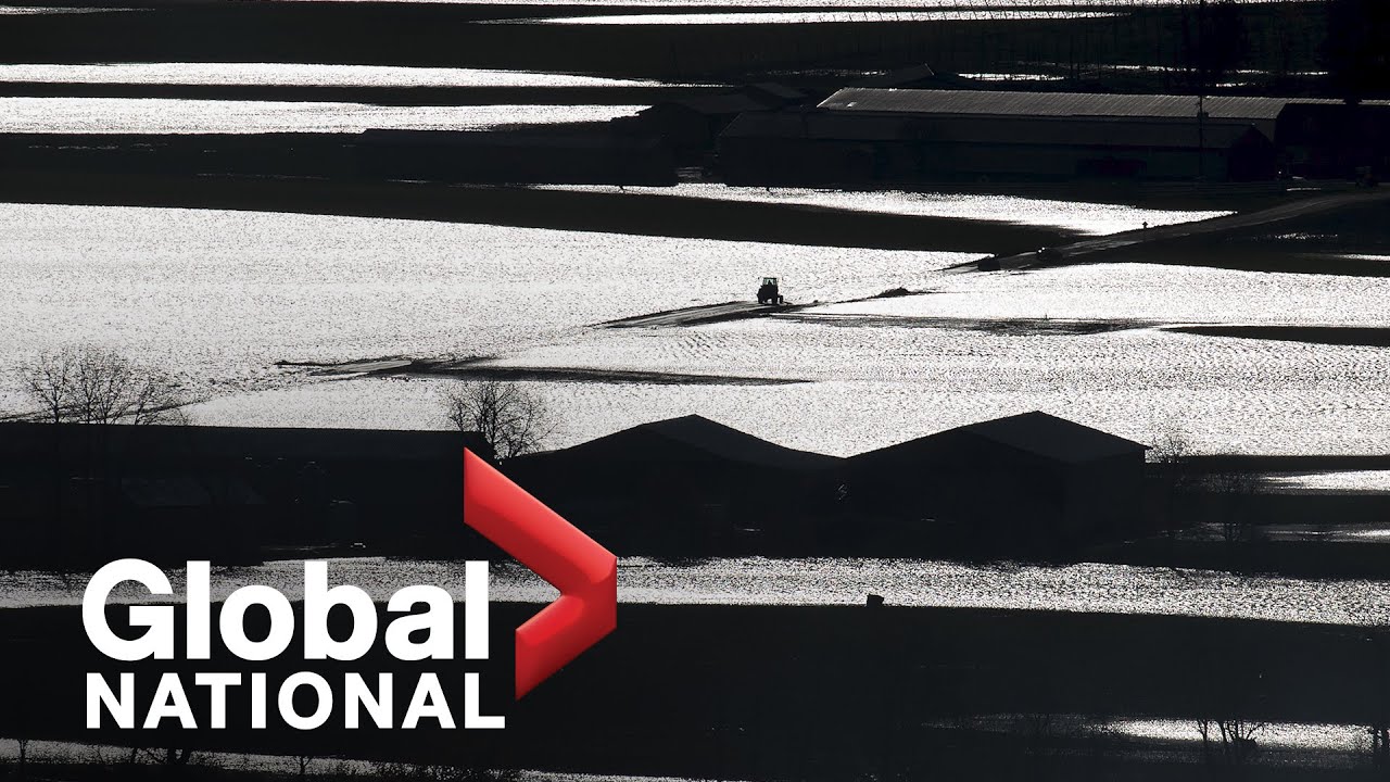 Global National: Nov. 18, 2021 | BC flooding disaster deals heavy blow to farmers
