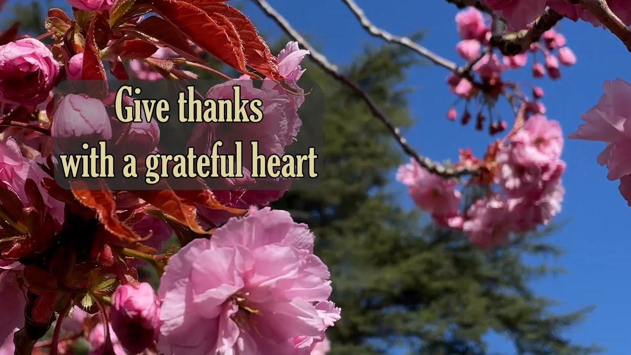 170 Give thanks with a grateful heart