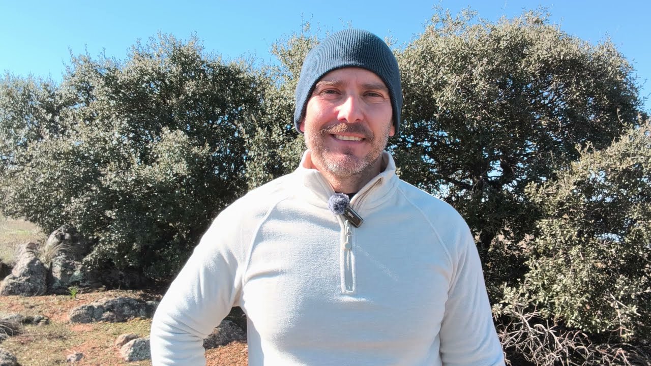 Amazon: SORPRENDENTE Q4 2025 | El inversor de a pie #ecommerce #stocks #investing #money #ia #ai