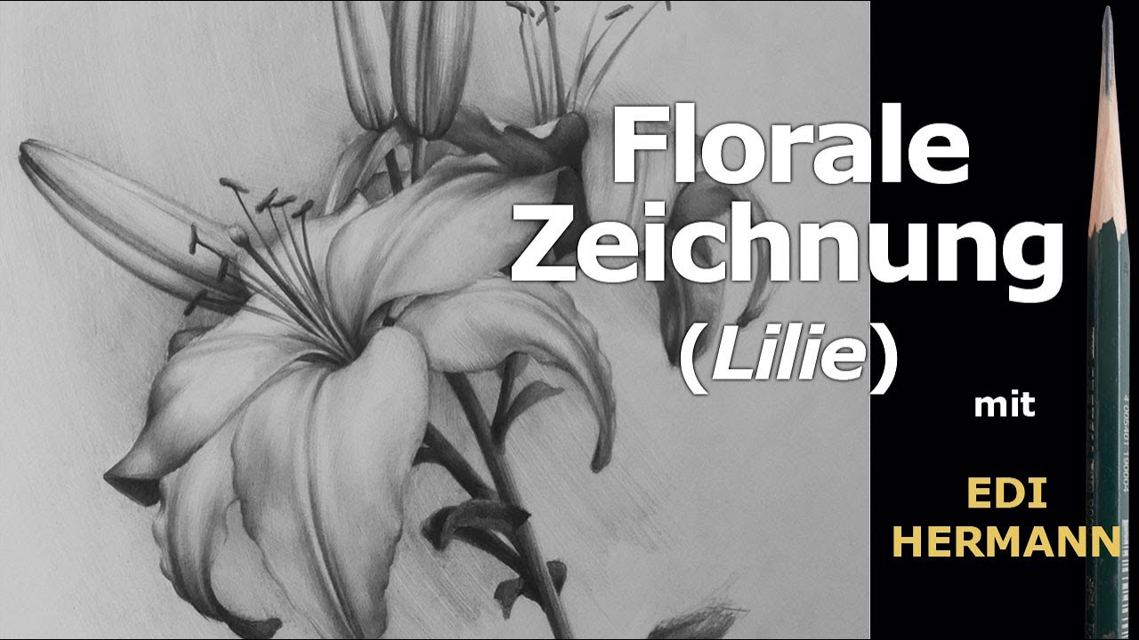 Blumen mit Bleistift zeichnen (Lilien)