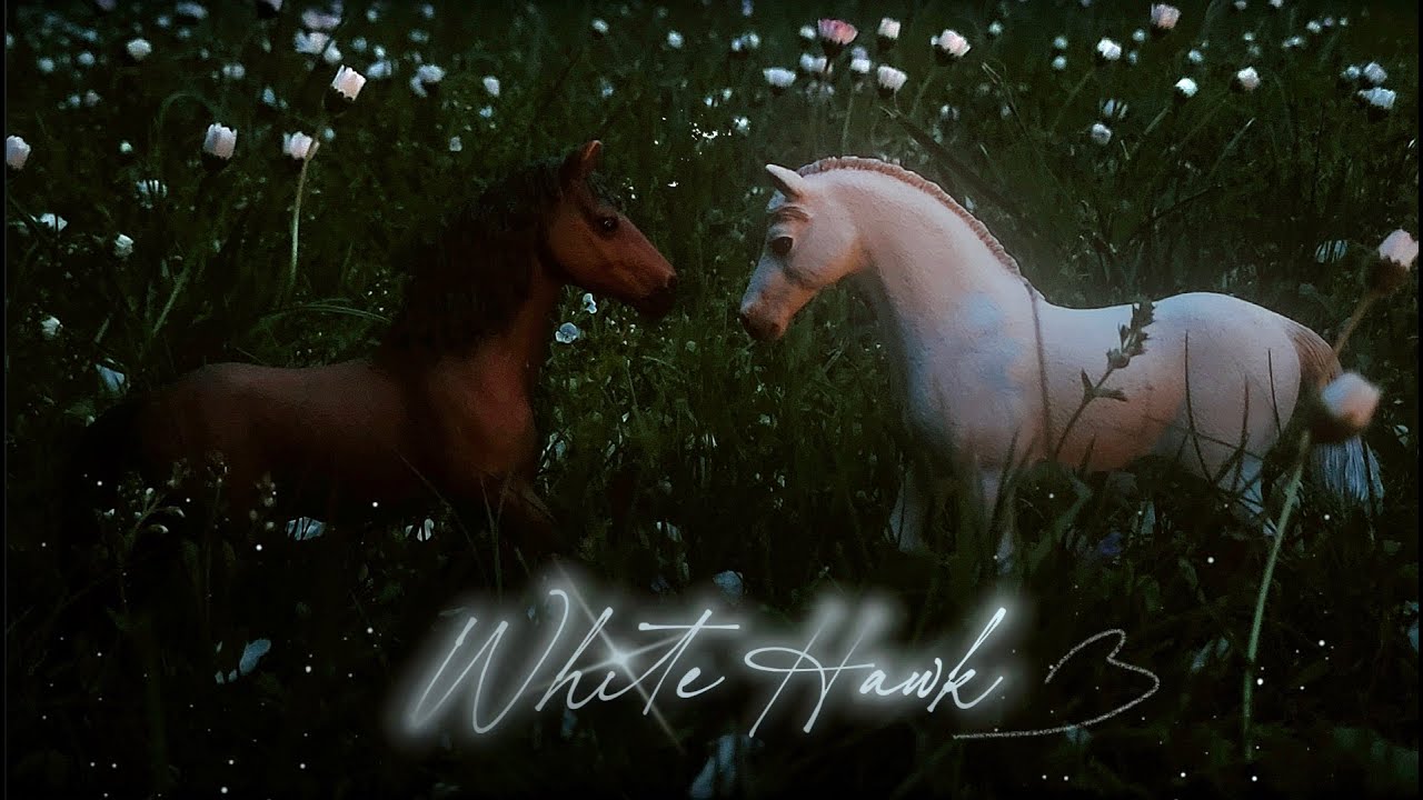 𝐖𝐡𝐢𝐭𝐞 𝐇𝐚𝐰𝐤 ~ 𝔬𝔯𝔶𝔤𝔦𝔫𝔞𝔩𝔫𝔶 𝔣𝔦𝔩𝔪 𝔷 𝔪𝔬𝔡𝔢𝔩𝔞𝔪𝔦 𝔨𝔬𝔫𝔦 [DUBB]🪽