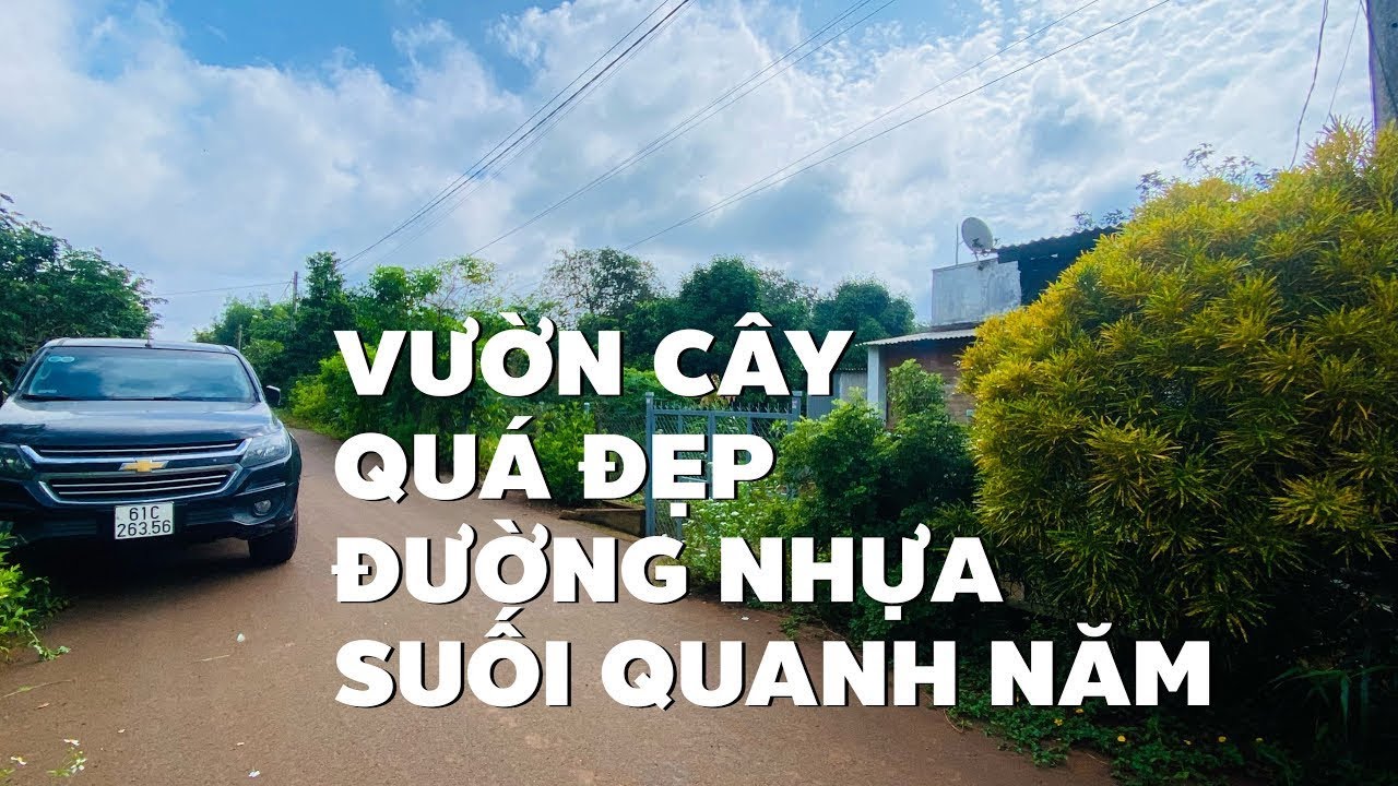 Gồng nợ ko nỗi giảm chỉ còn nhỉnh 1 tỷ cho vườn trái cây măng cụt rất đẹp