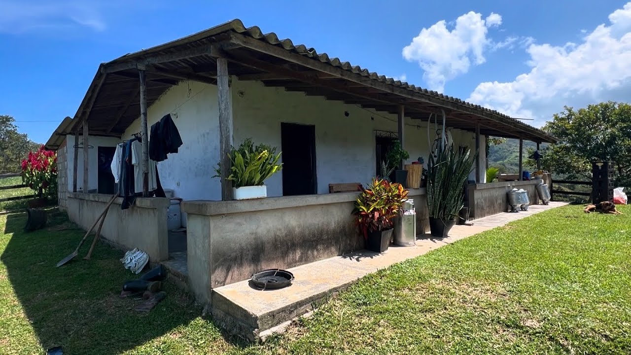 Finca en venta en Angostura Antioquia.