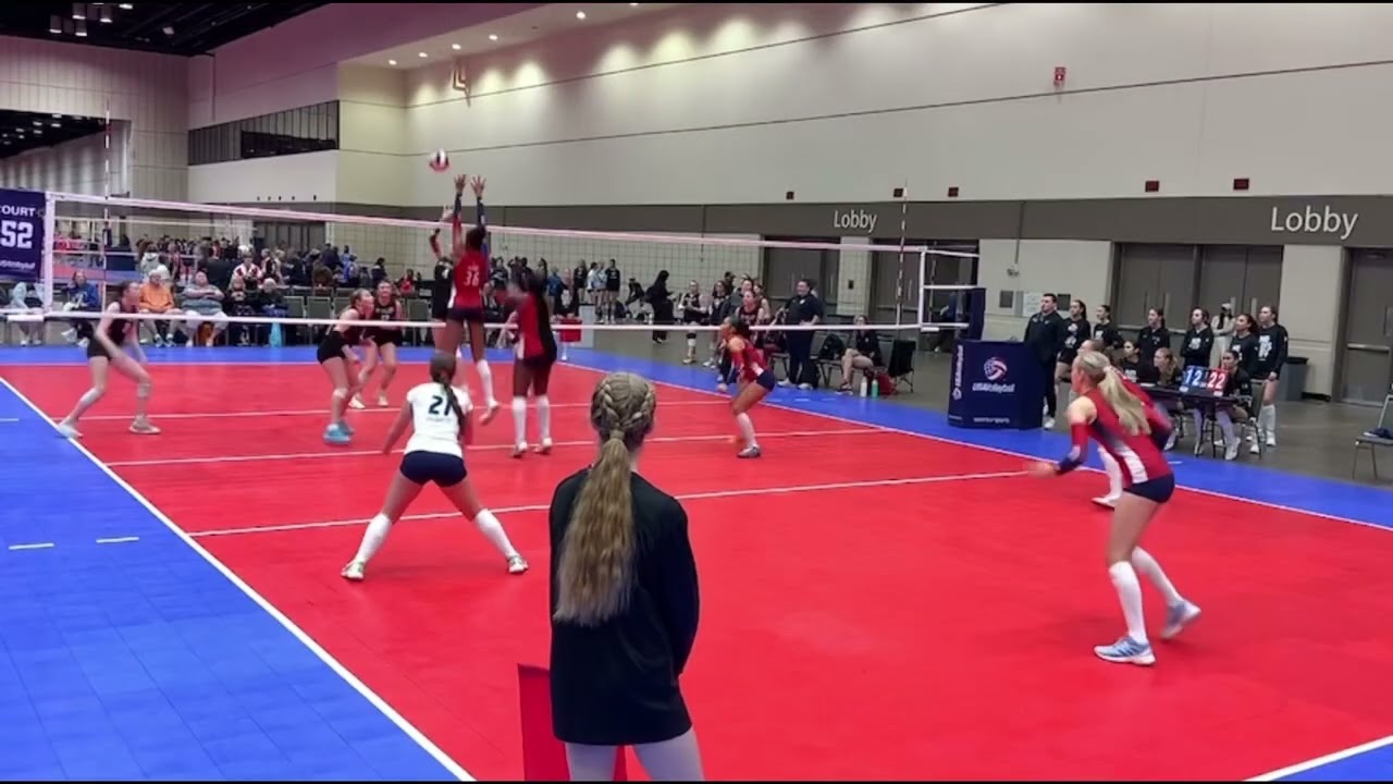 Sunshine Qualifier 2026 Highlights
