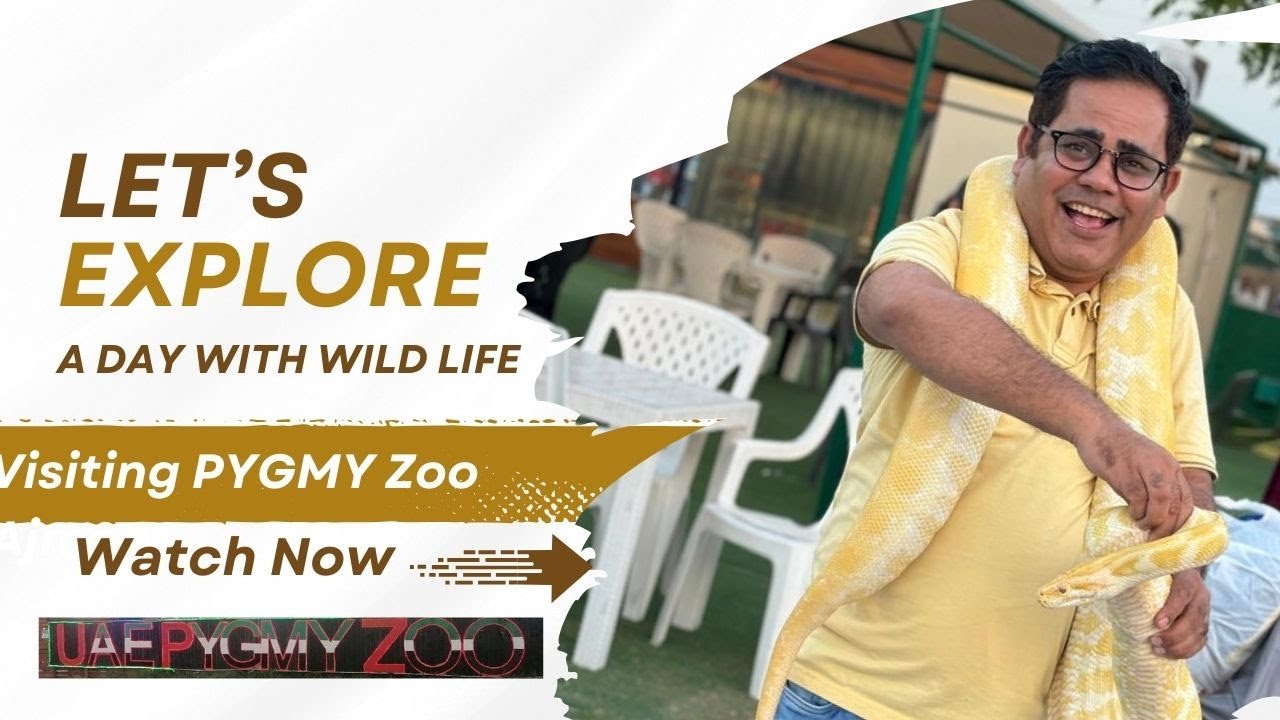 Pygym Zoo Ajman:Unforgettable Wildlife Encounter I health wellness & Stress Relief  Zoo Experience