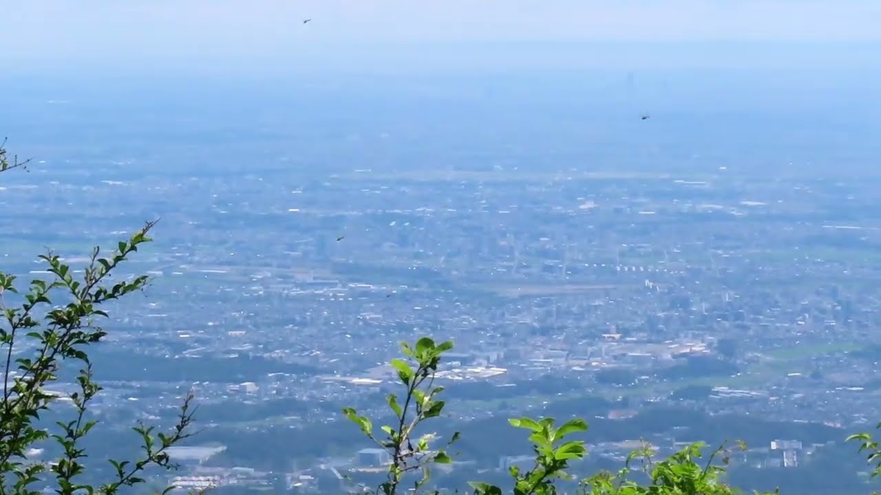 大山阿夫利神社 本社 2 Aug 2025
