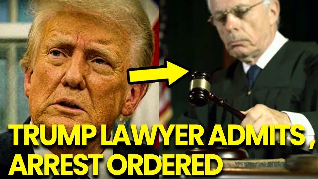 Judge ORDERS Immediate ARREST as Trump Lawyer ADMITS Everything in Testimony