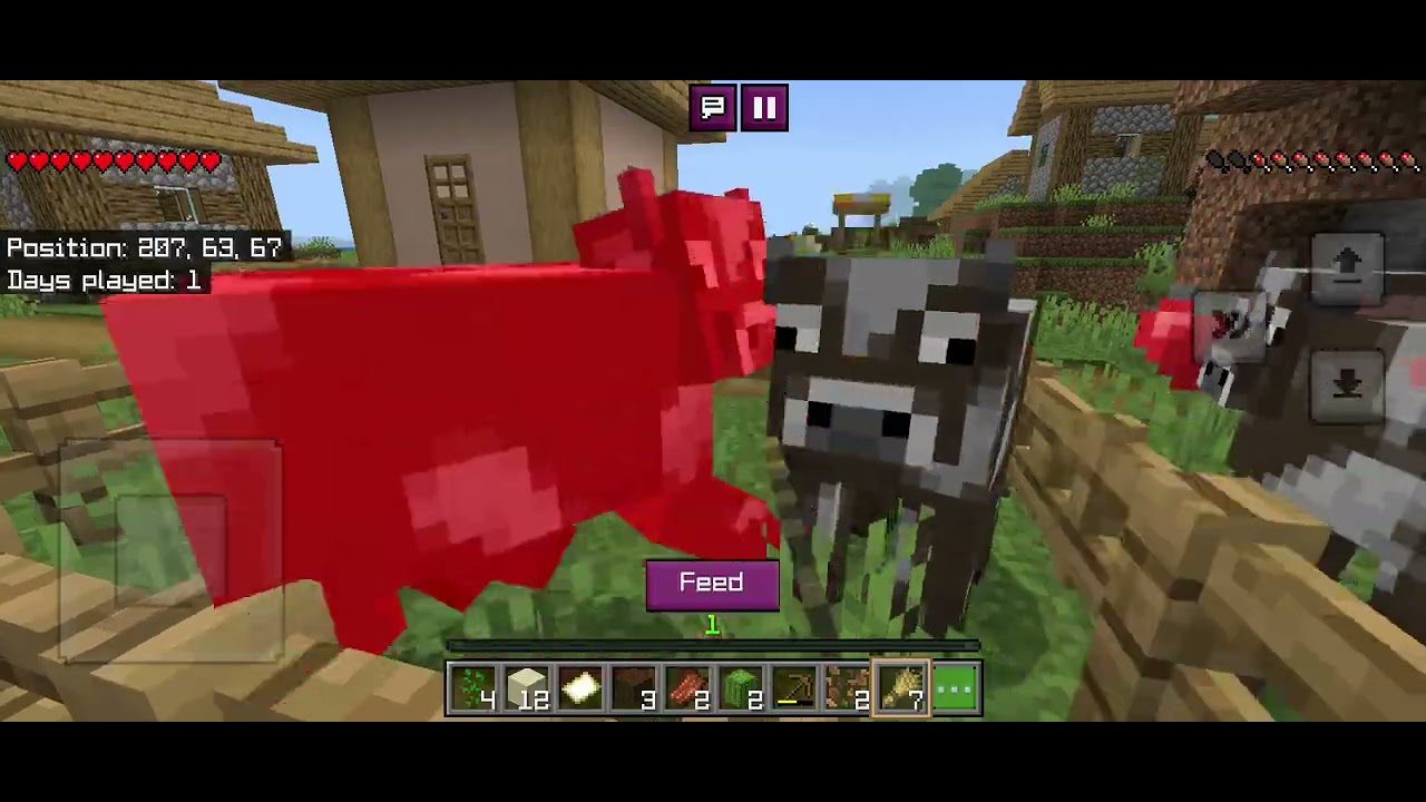 Villager is zombies 