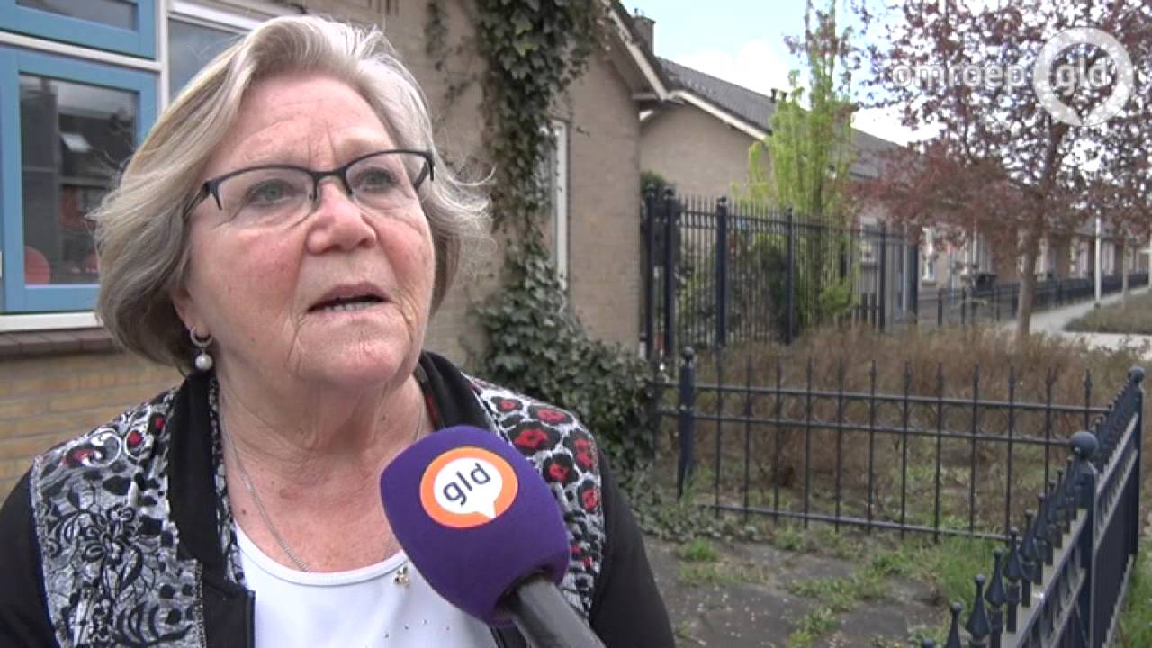 Autobranden in Culemborg aangestoken; motief dader(s) raadsel - Omroep Gelderland