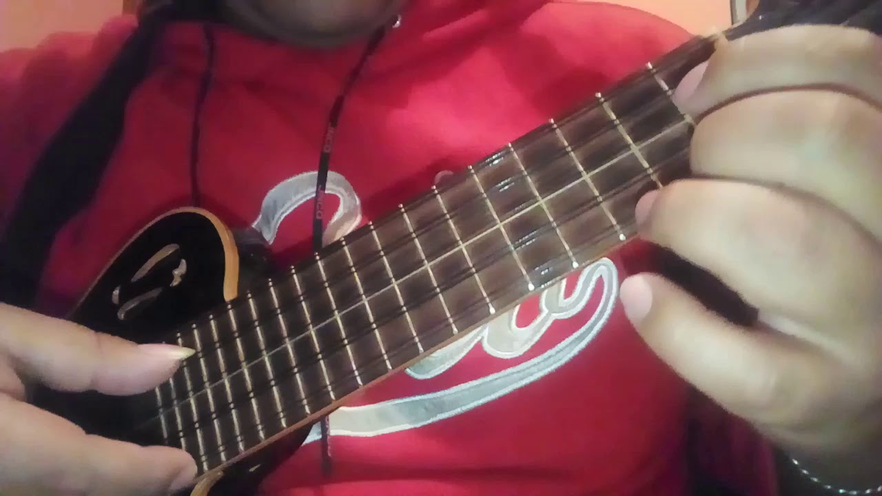 HASTA EL FINAL WILLIAN LUNA CHARANGO COVER