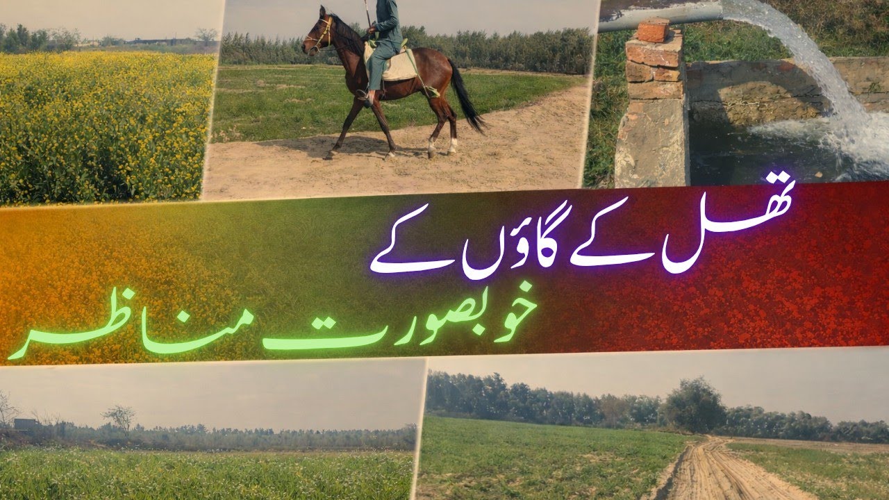 The Beautiful views of village of Thal