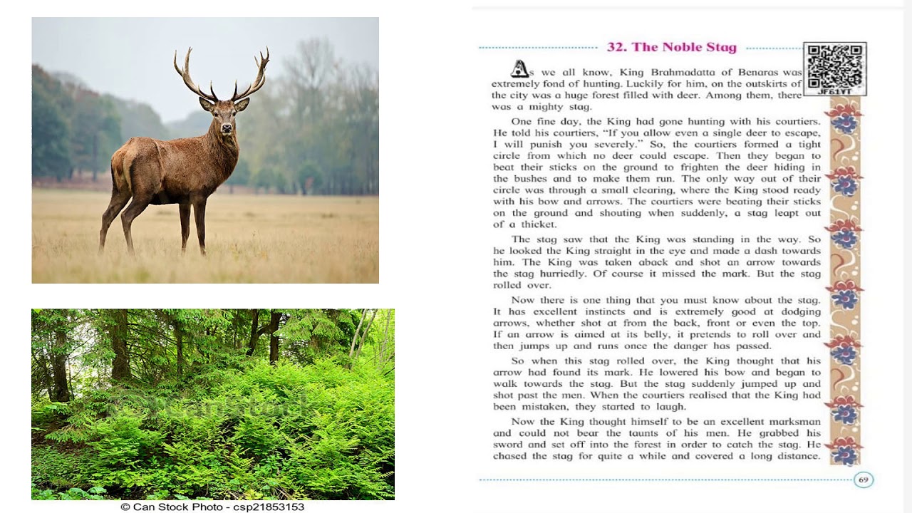 THE NOBLE STAG